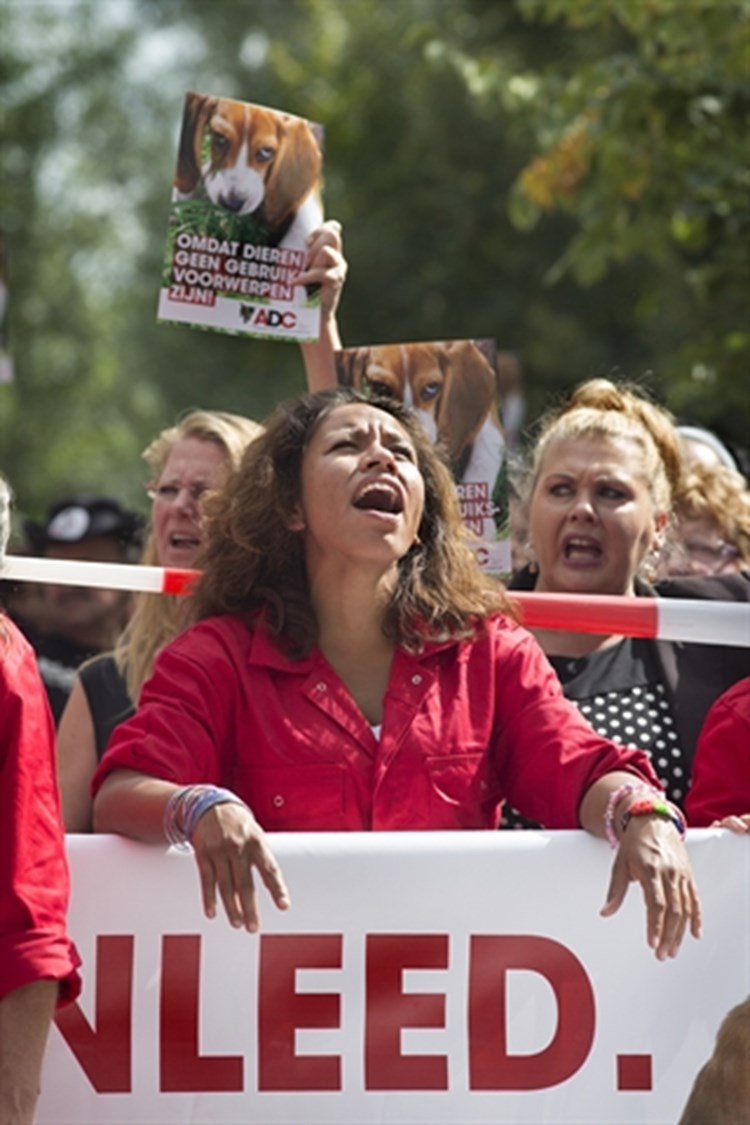 Hoogleraar: “UM maakte fout door dieronderzoek stil te leggen na protesten”